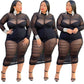 Long Sleeve Mesh Dress with Bodysuit Lining