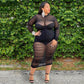 Long Sleeve Mesh Dress with Bodysuit Lining