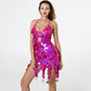 Tassel Sequin Dress